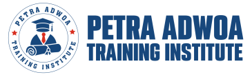 PETRA LOGO - 3D(whole blue)